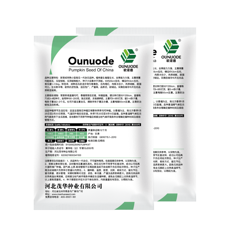 中科茂华南瓜种子迷你娇子新品南瓜种子小型礼品