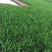 【荐】韭菜广东韭菜徐闻韭菜新鲜采摘现摘现发产地直供货源