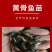 黄骨鱼苗批发产地直销一手货源齐规格低价格