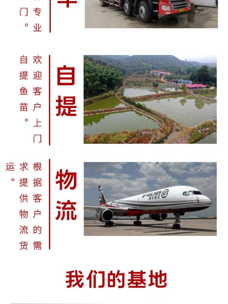 黄骨鱼苗批发产地直销一手货源齐规格低价格