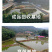 黄骨鱼苗批发产地直销一手货源齐规格低价格