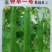 丝瓜苗中绿杂交丝瓜苗长短丝瓜苗批发亩产高商品性好