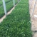 大量出售紫花地丁基地直销价格便宜物美价廉，支持视频看货发
