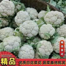 陕西菜花，白花花菜，汉中菜花1~3斤紧花瓷实乳白来电