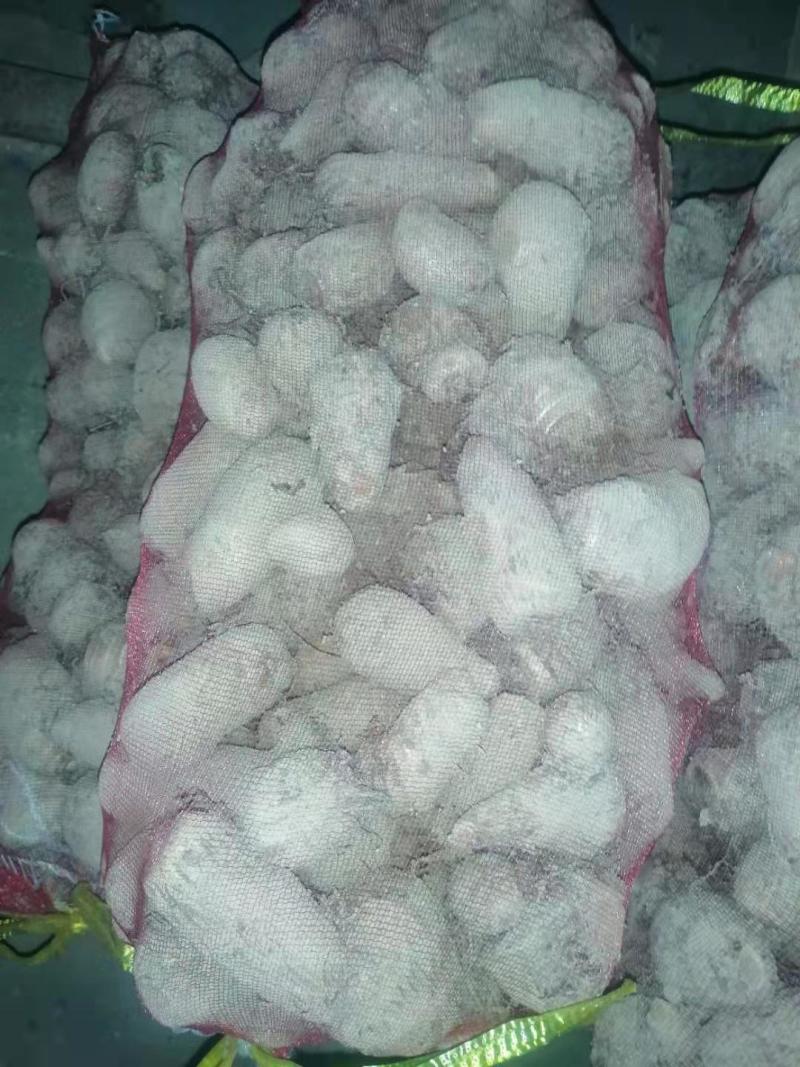 精品芋头大量上市！产地直发，质优价廉支持视频看货量大从优