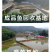 鲫鱼苗批发产地直销运输损耗包赔杂交4-7公分