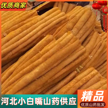 小白嘴山药，河北山药，河北小白嘴，优质山药批发