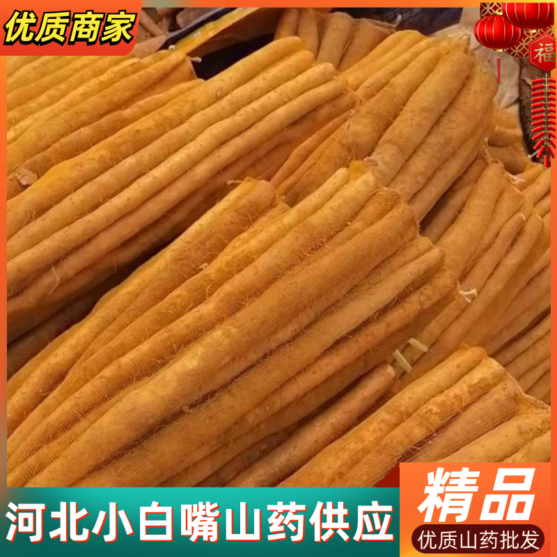 小白嘴山药，河北山药，河北小白嘴，优质山药批发