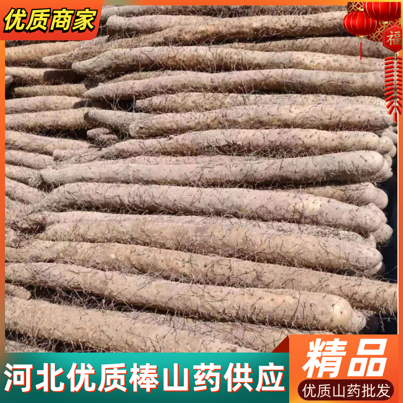 山药，棒山药，河北棒山药，棒药头路二路小货大量供应，批发