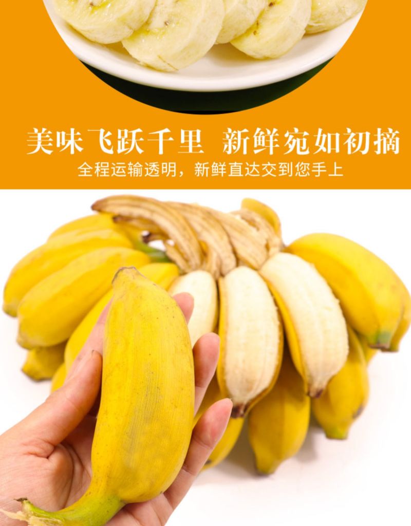 广西小米蕉香蕉水果新鲜10斤当季整箱包邮香焦小香蕉自然熟