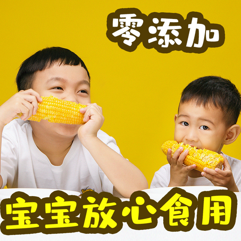 黄糯玉米10根新鲜水果玉米真空即食苞米整箱包邮甜黏大玉米