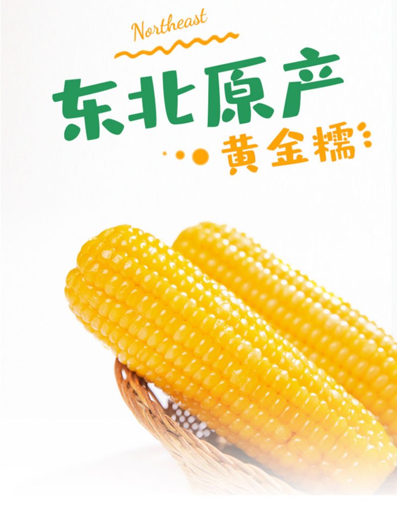 黄糯玉米10根新鲜水果玉米真空即食苞米整箱包邮甜黏大玉米