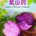 山药种紫玉淮山药种赣南紫山药种