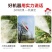 汽油电启动遥控打药机自动排管遥控喷药机一键启动