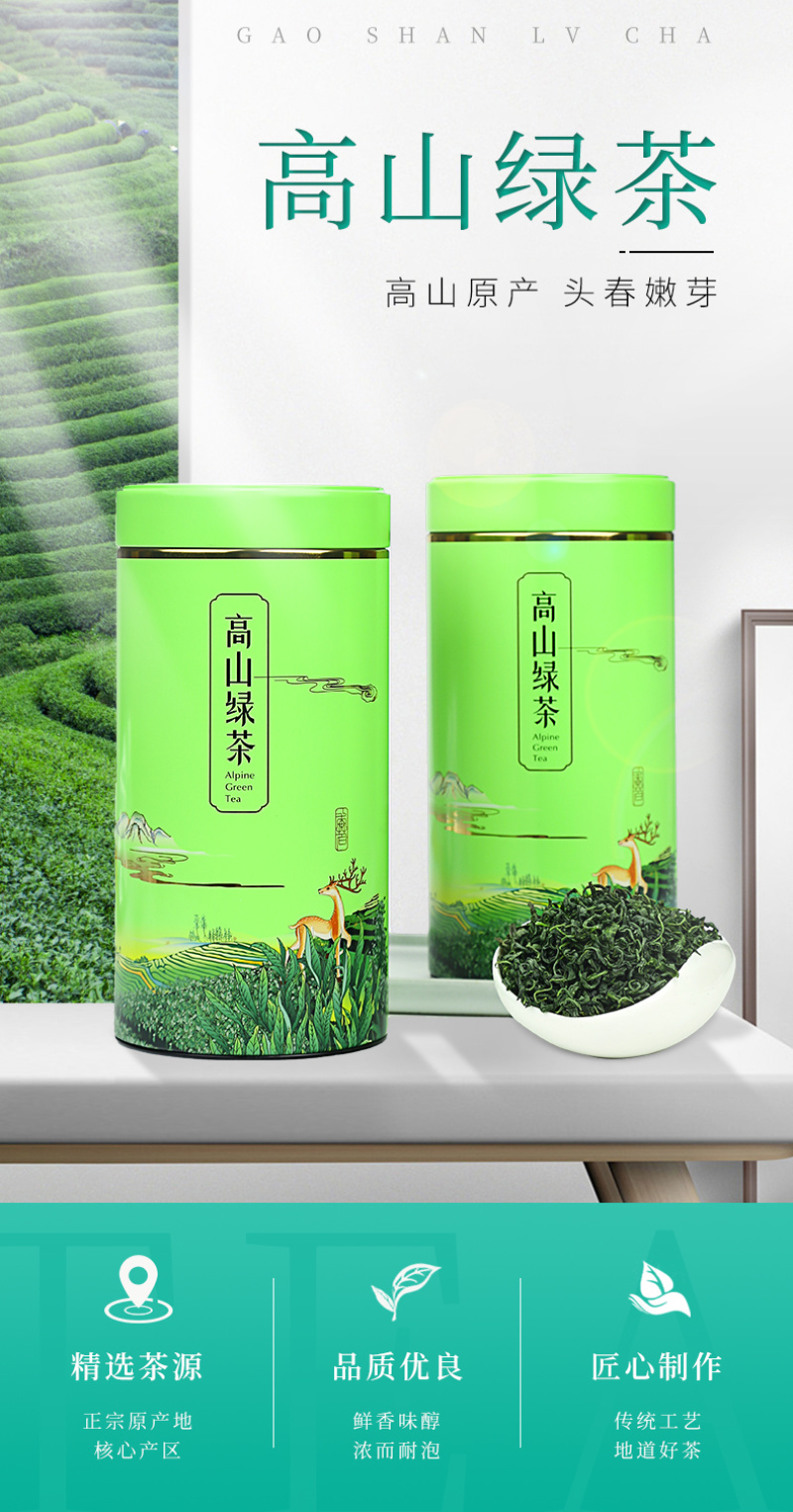 高山绿茶2罐500g春茶礼盒包邮批发