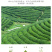 高山绿茶2罐500g春茶礼盒包邮批发