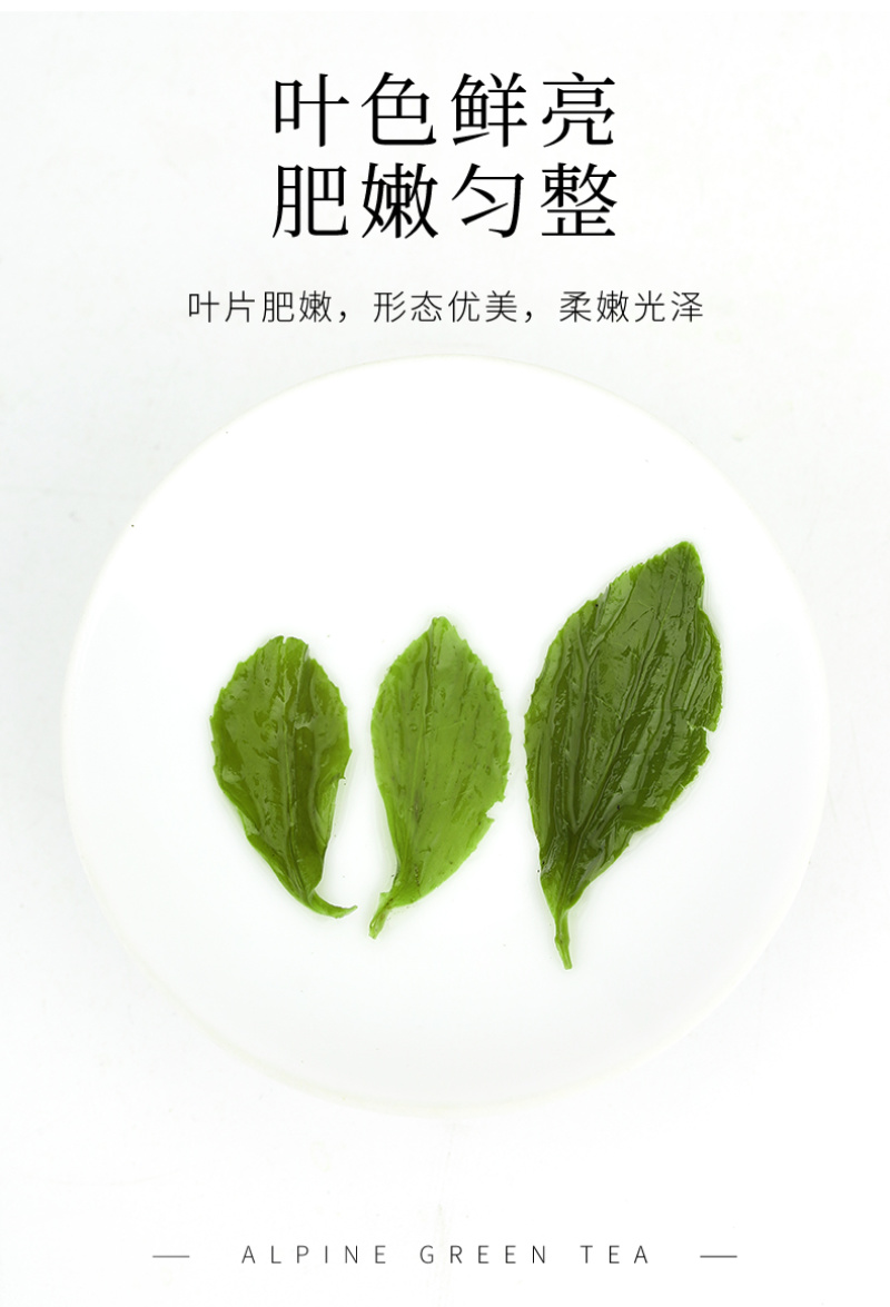 高山绿茶2罐500g春茶礼盒包邮批发