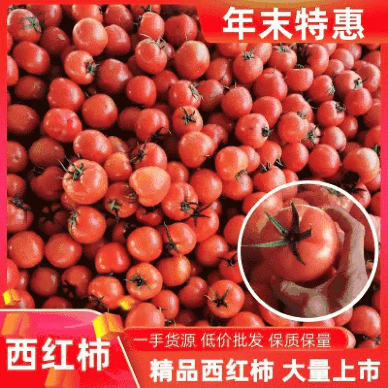 西红柿山东西红柿硬粉西红柿电商货对接各大超市批发市场
