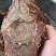 全熟酱牛肉。可根据客户要求定制大小包装，一亩田**