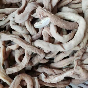 八成熟牛圆小肠。手续齐全，
