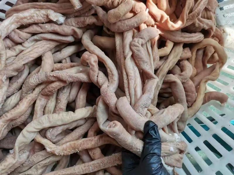 八成熟牛圆小肠。手续齐全，