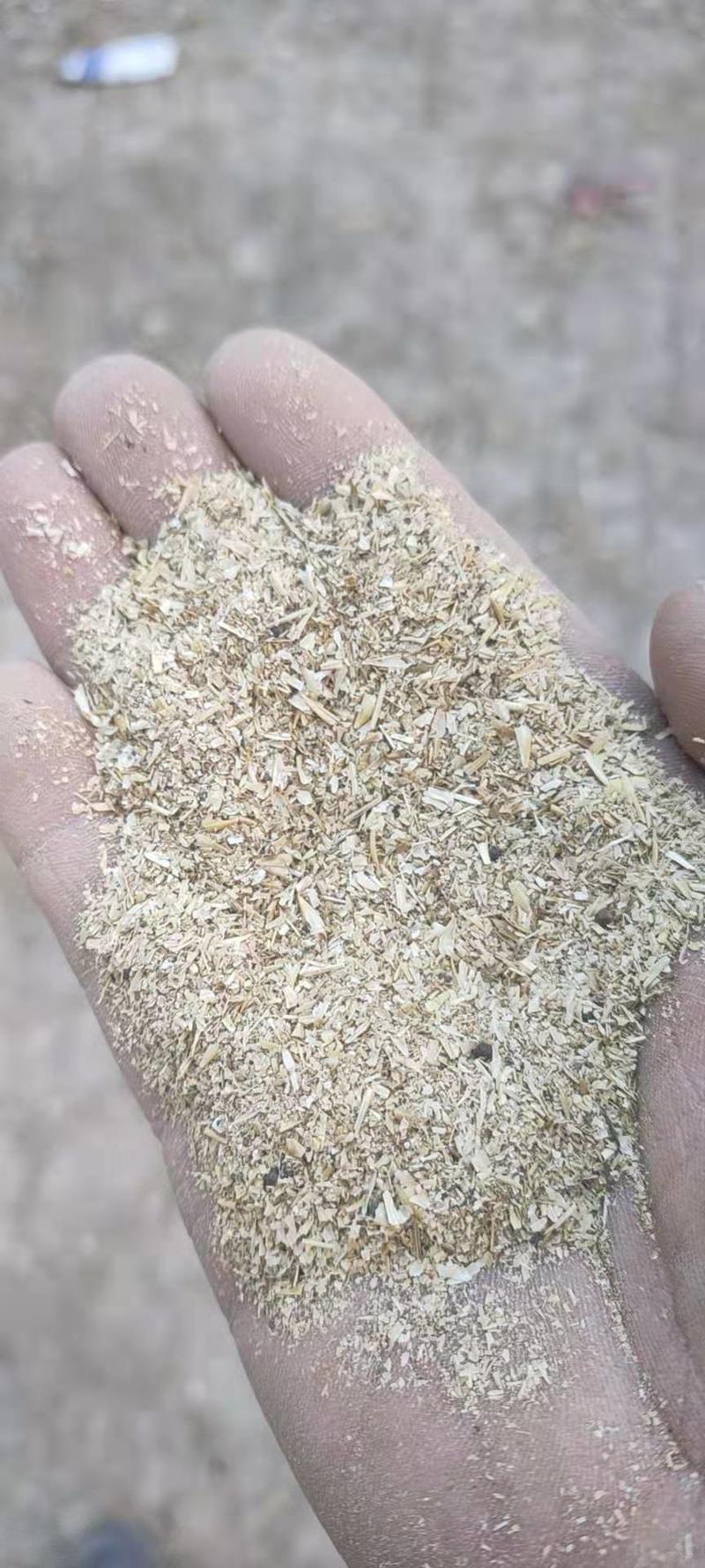 河南碎小麦有碎玉米小麦下脚料发酵料【大量现货】欢迎咨询