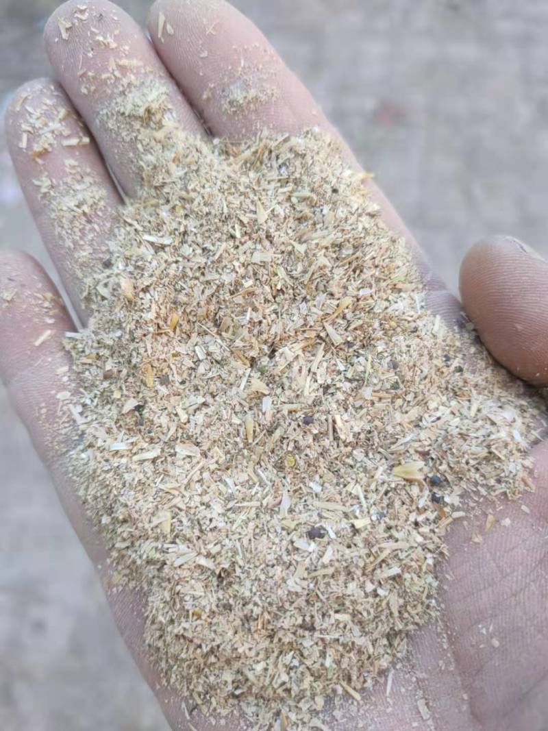 河南碎小麦有碎玉米小麦下脚料发酵料【大量现货】欢迎咨询