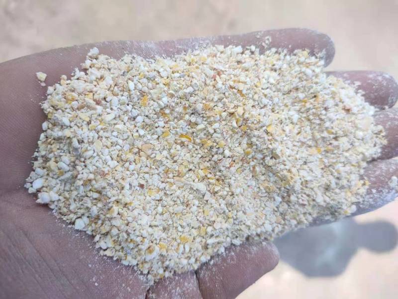 河南碎小麦有碎玉米小麦下脚料发酵料【大量现货】欢迎咨询