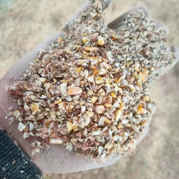 河南碎小麦有碎玉米小麦下脚料发酵料【大量现货】欢迎咨询