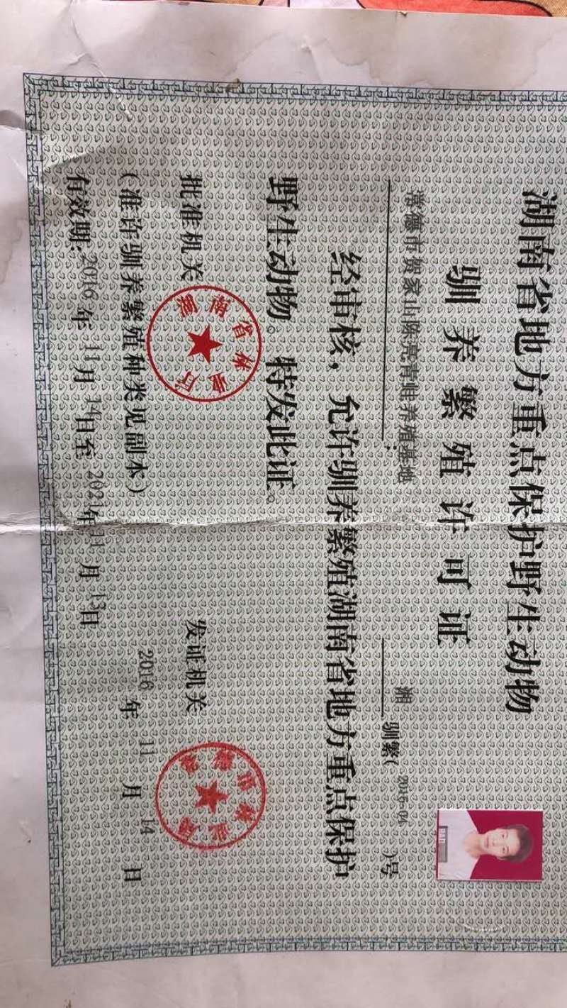 大量供应青蛙新鲜卵块基地养殖存活率高可实地考察