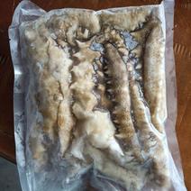 黄肉参-深海各种海参海虾批发在锦福益海实业