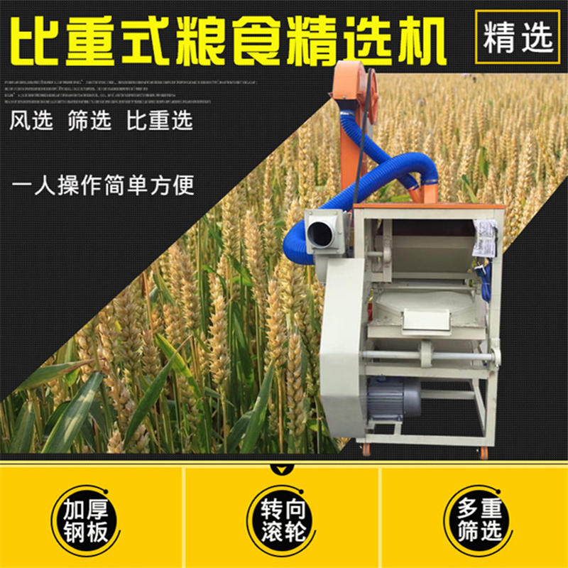 小麦去杂除芒选机农作物种植选种机多用途水稻筛选机价