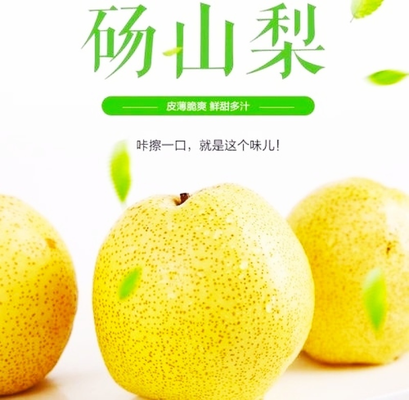砀山酥梨源产地发货对接电商团队整车批发冷链仓储运输