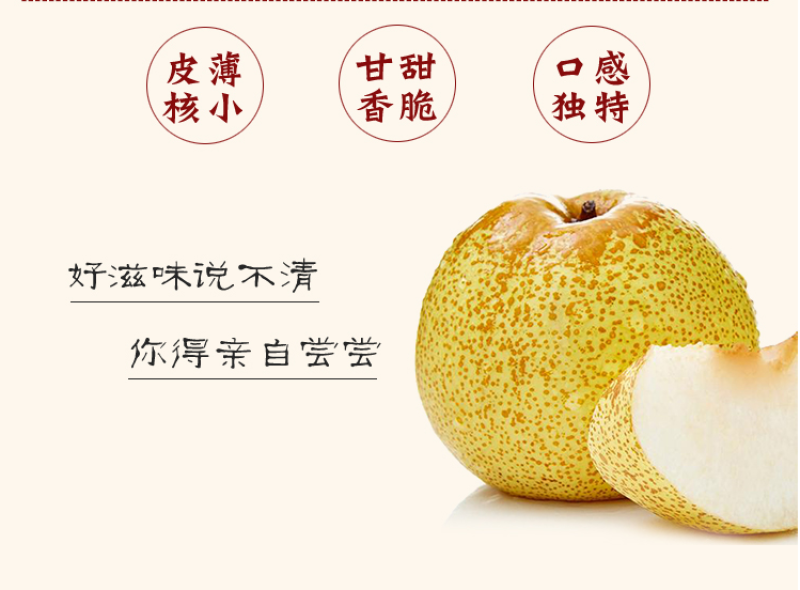 砀山酥梨源产地发货对接电商团队整车批发冷链仓储运输