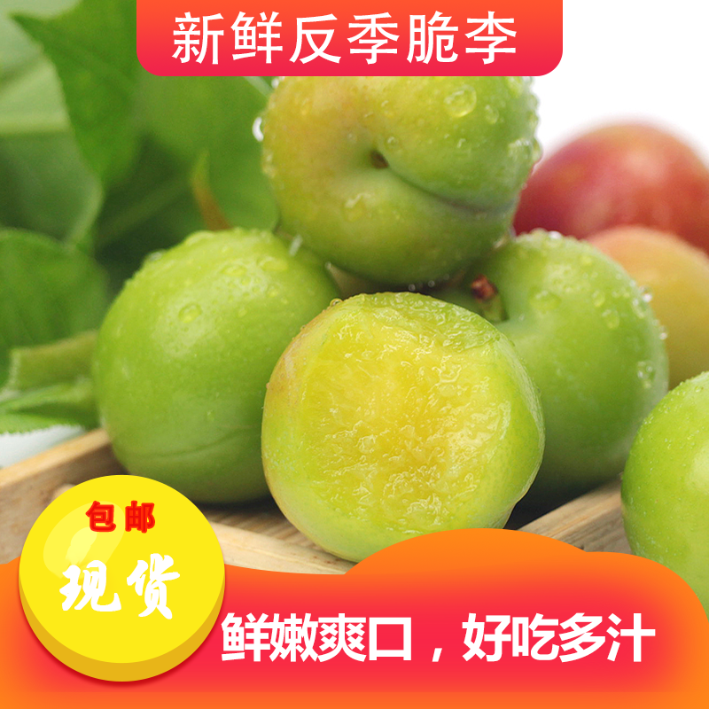 云南三月李新鲜李子脆李青李子孕妇水果一件代发包邮