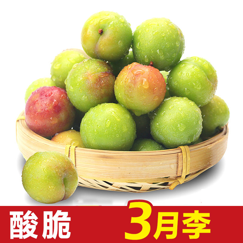 云南三月李新鲜李子脆李青李子孕妇水果一件代发包邮