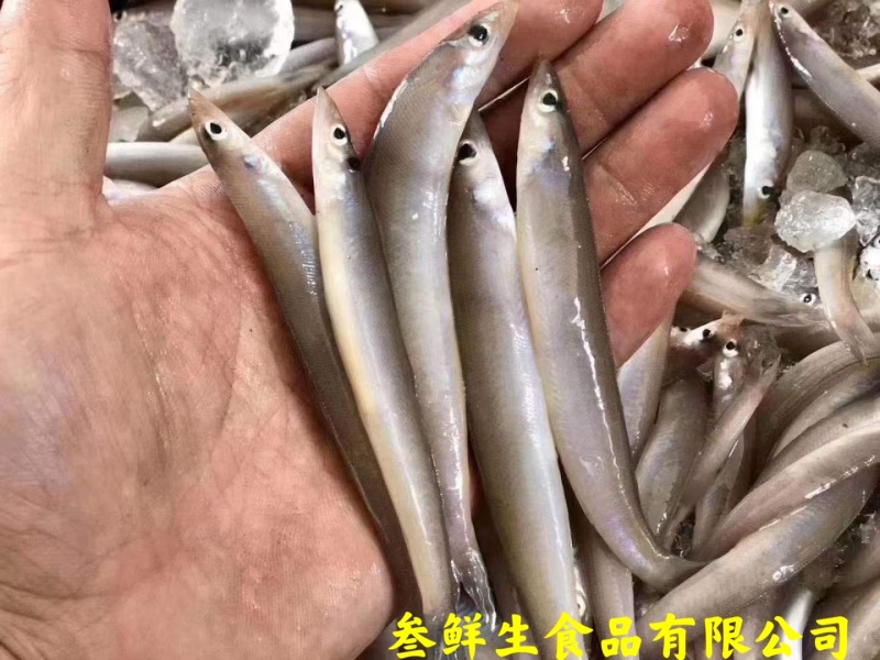 海泥鳅、玉筋鱼、沙溜鱼、社区团购、食堂、商超、档口专供
