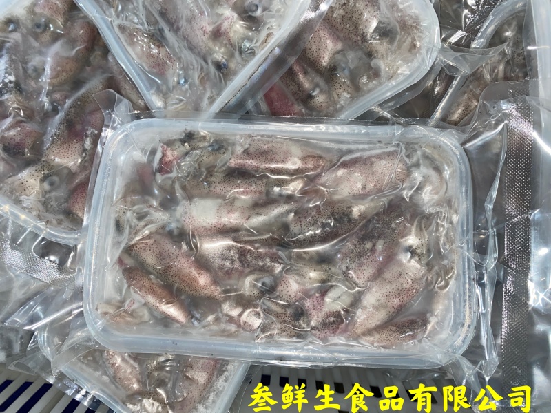 海兔子、小鱿鱼、社区团购、酒店、商超、排挡专供