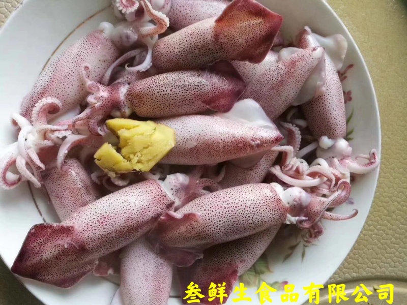 海兔子、小鱿鱼、社区团购、酒店、商超、排挡专供