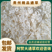 【荐】贵州大通草别称寇脱、离南、活莌、倚商、通脱木、葱草