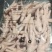 【厂家直发】精品凤爪鸡爪质量优质干净新鲜品质保障包装精美