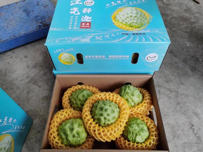 空运包邮~海南精品风梨释迦果，番石榴，一级释迦果一件代发