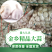 精品金乡大蒜，加工精品优质大蒜，量大从优，代发全国。