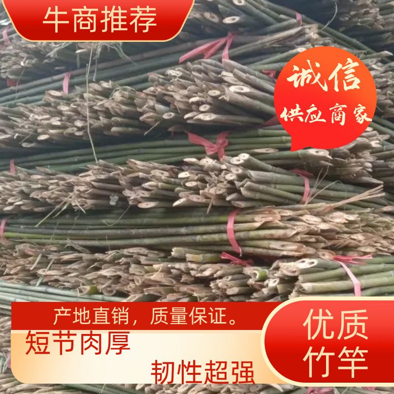 优质竹竿，金竹，菜架竹，西红柿架杆，火龙架，产地直销