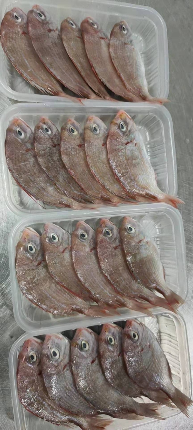小真鲷、社区团购、电商平台、食堂、商超、档口专供
