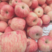 高次优质精品红富士苹果，货源充足规格齐全代发全国