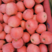 高次优质精品红富士苹果，货源充足规格齐全代发全国