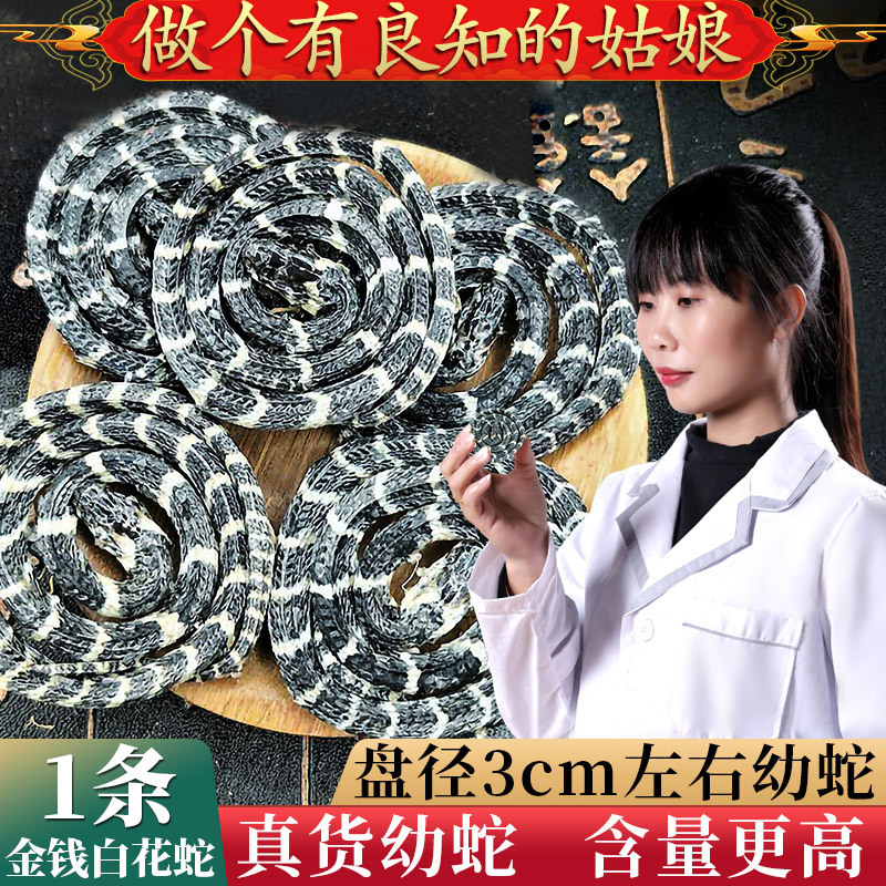 白花蛇小白花蛇中药白花蛇中药材原料小白花蛇金钱白花蛇干正