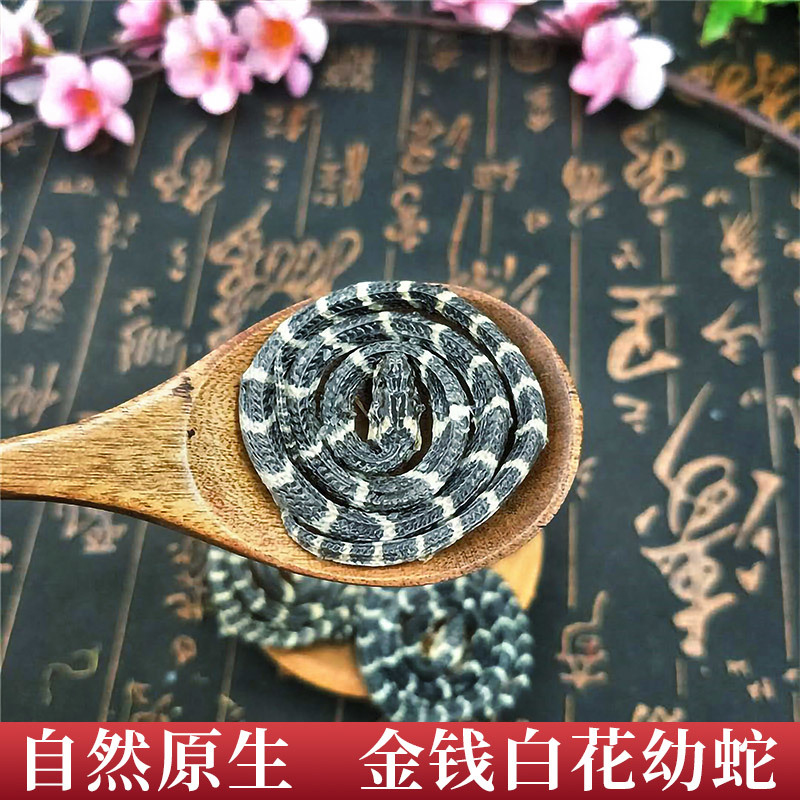 白花蛇小白花蛇中药白花蛇中药材原料小白花蛇金钱白花蛇干正