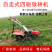 四驱小型微耕机手扶旋耕机丘陵山地微耕机
